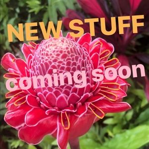 NEW ITEMS BEING ADDED SOON!!! Stay tuned :)